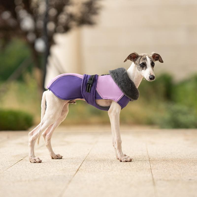 Dog Clothes Large Lapel Neck Jacket Winter High Neck Warm Pet Clothes Thickened Dog Coats Schnauzer Cotton Coat Pet Costume