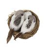 Feathered Car Garden Ornaments Miniature Lawn Home Decor Artificial Birds Birds Egg Bird Nest