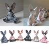 Hairless Cat Meditation Resin Ornament Creative Table Decoration Crafts Buddhist Meditation Home Creative Accessories Wholesale