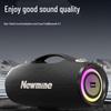 Newmine BT101 Outdoor KTV Bluetooth Speaker with Dual Microphones CN Plug (adapter Included)