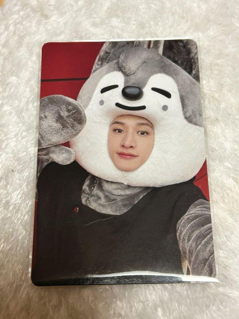 [USED] StrayKids Bang Chan MAXIDENT SKZOO JYP Bonus