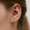 (Zilver 925) Stralende Bloemen Oorbellen EC3156