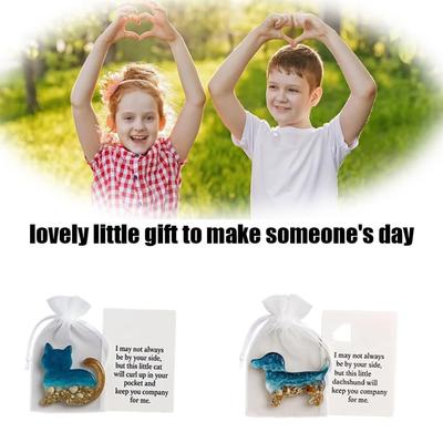 Pocket Travel Gift, Pocket Hug For Pet Loss Gift, Inspirational Gifts With Card, Little Support Loss Of Pet Sympathy, Resin Encouragement Animal