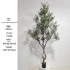 Olive Tree Potted Plant - Indoor Decor Simulation for Living Room