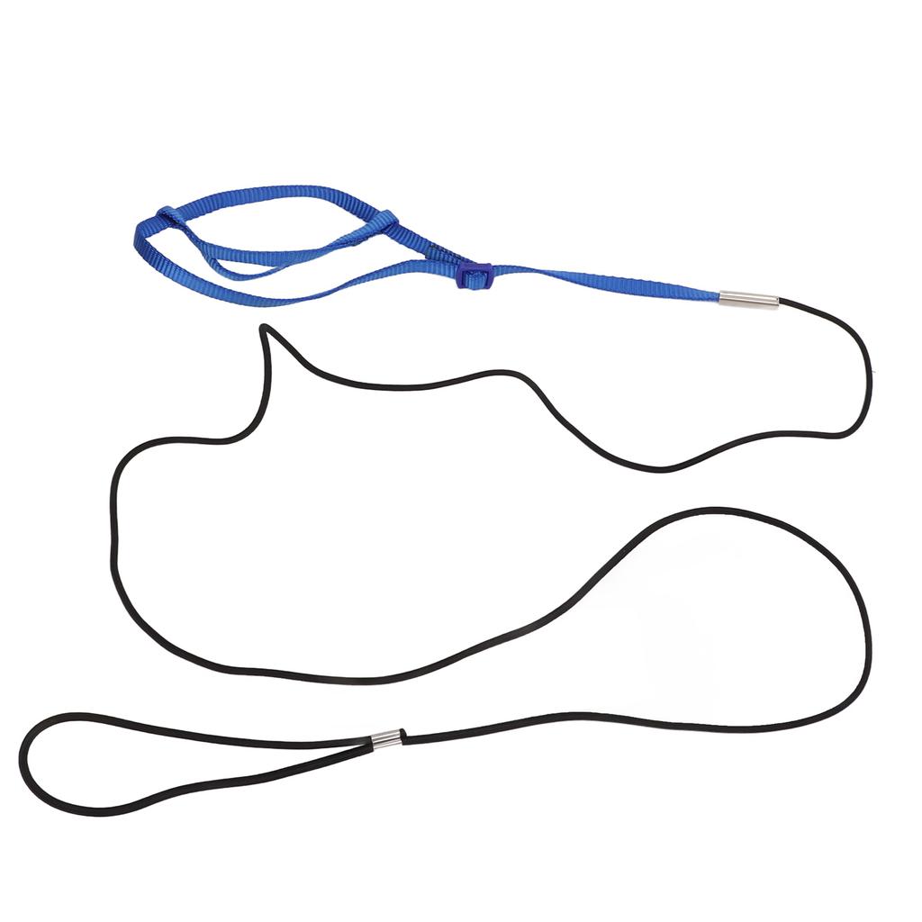 Parrot Harness Leash Adjustable Bird Flying Harness Traction Rope with Hook for Birds Parrots