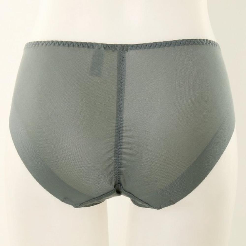 Wacoal Women S Hip Wrapping Hamline Panty Wptp030h