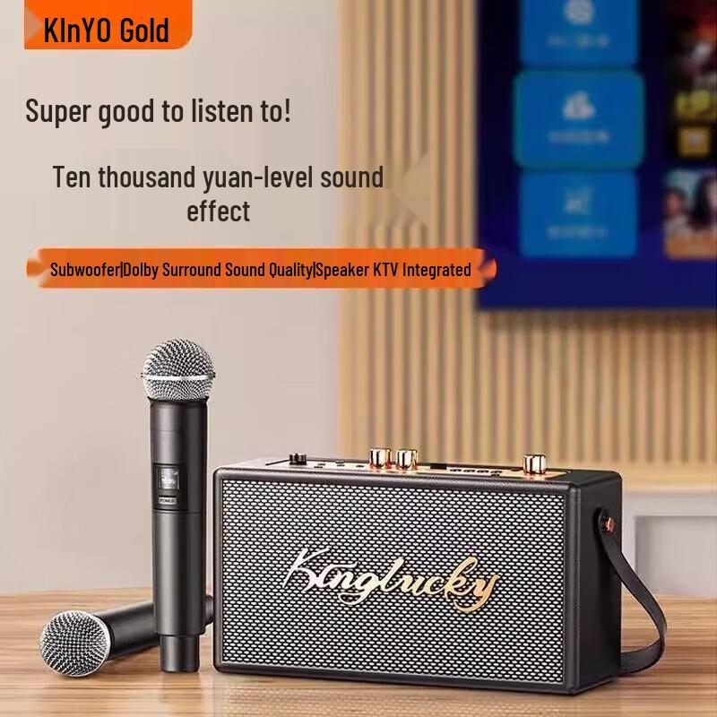 KINYO Bluetooth Karaoke Speaker CN plug (adapter included)
