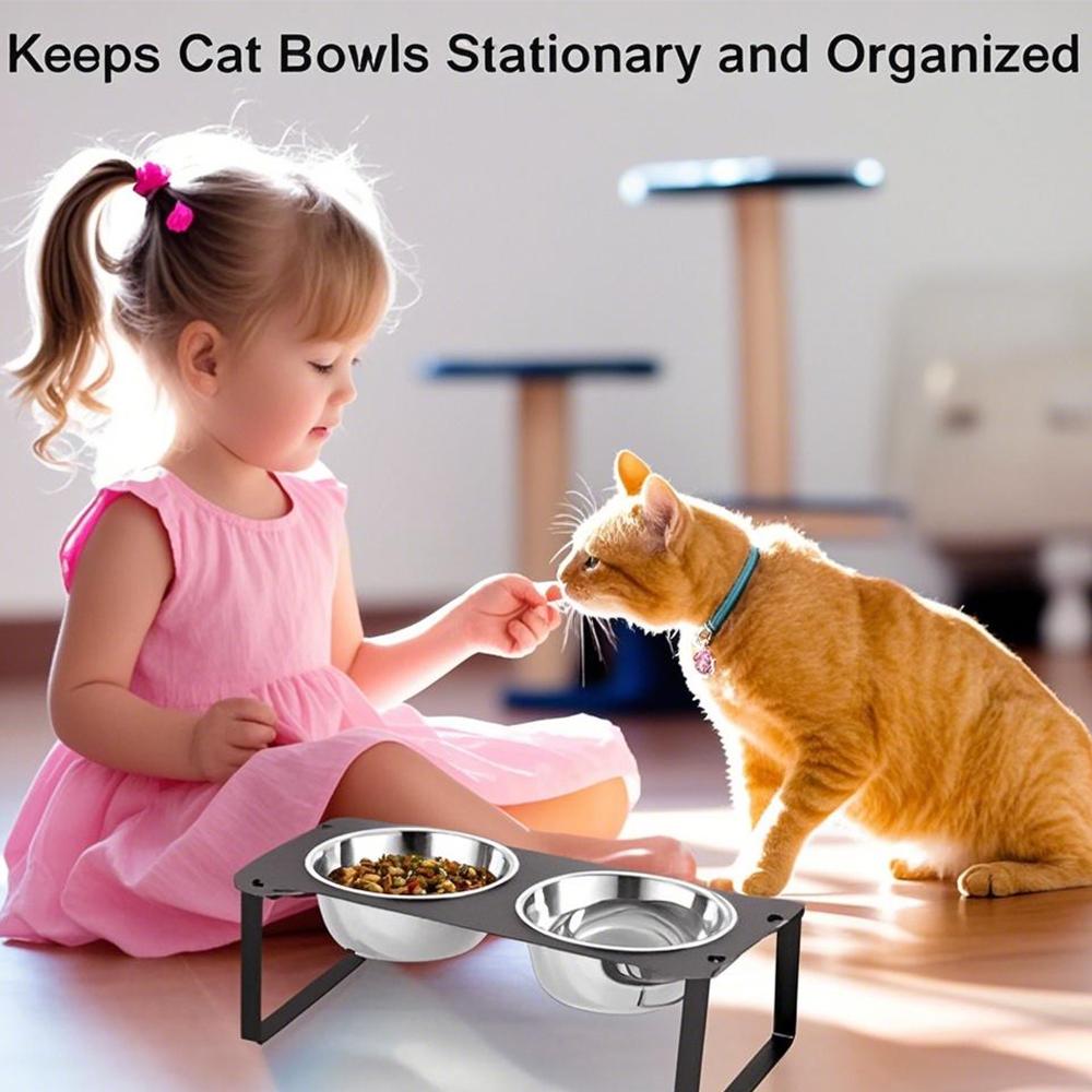Cat Feeder Elevated Cat Bowls 2 Stainless Steel Bowls for Indoor Pet with Cute Metal Stand 15° Tilted Anti-Vomiting for Cats