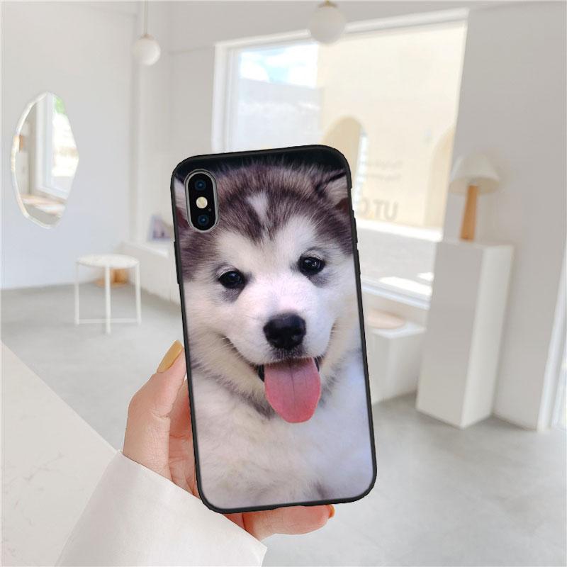 CJ66 Husky Puppy Dog Soft Shell Phone Case for Samsung Galaxy S20 S21 S22 Ultra FE + Plus A21S A22 A24 A25 A26 A30 A30S A31