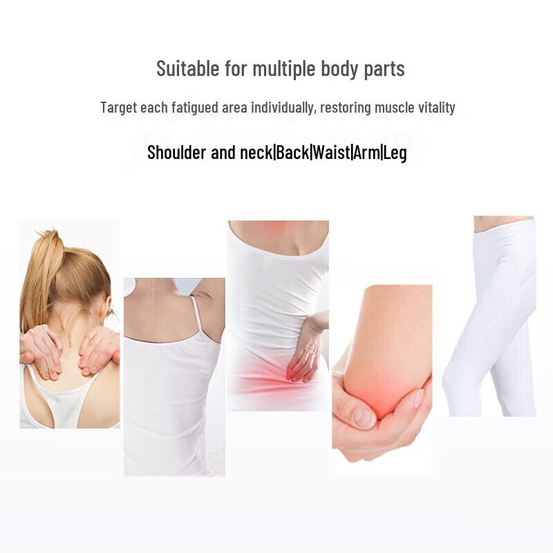 Ogawa OG2101 Rechargeable Lumbar and Back Heating Massage Pillow CN plug (adapter included)