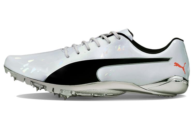 PUMA EvoSPEED Electric 10 Grey 194475-01 42
