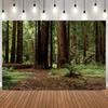 Spring Forest Trail Photography Background Jungle Camping Adventure Decor Home Party Shower Portrait Shooting Photo Backdrop4