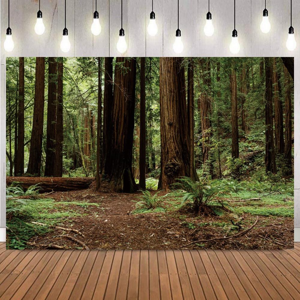Spring Forest Trail Photography Background Jungle Camping Adventure Decor Home Party Shower Portrait Shooting Photo Backdrop4