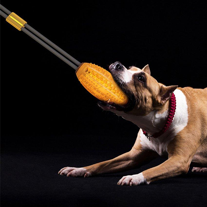 pull toy for dogs