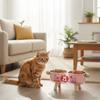 Stainless Steel Elevated Cat Bowl Non-Slip Anti-Tipping Cat Water Bowl Double Bowls Cute High Foot Dog Feeder For Cats Dogs