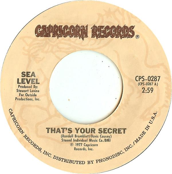 

7inch Record SEA LEVEL - That s Your Secret CPS0287 Capricorn Recor 1977 US Jazz Used