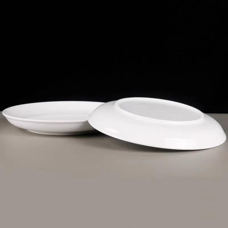 Aoran Ceramic Round Dinner Plate 10 inches