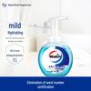 Walch Foaming Hand Wash