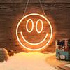 USB-Powered Smiley Face LED Neon Light with Acrylic Backboard for Indoor Decoration