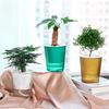 Vaso de Flores Autoirrigável Plástico Listrado com Cordas de Pavio Reservatório de Água Vaso para Plantas de Interior para Mesa Escritório Decoração de Casa