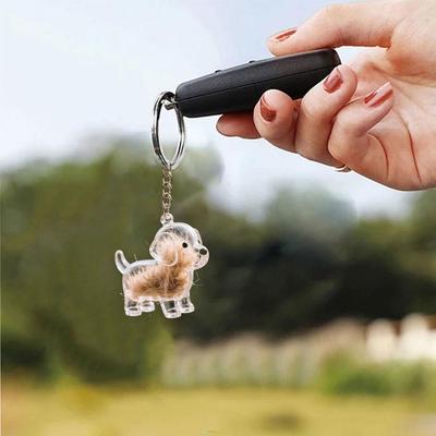 Adorable Pet Keepsake Capsule Pendant With Key Ring for Pet Lovers DIY Memorial Keychain Transparent Dog Hair Storage Container
