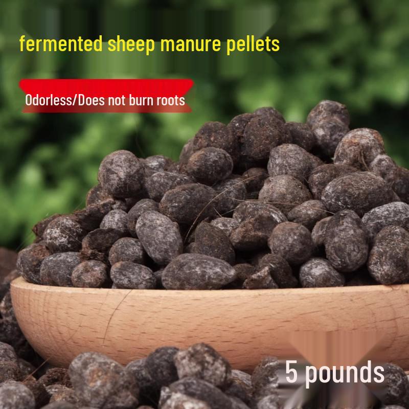 Organic Bougainvillea & Winter Sweet Rooting and Nutrient Fertilizer