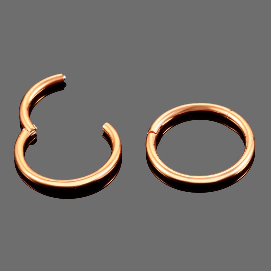 

1PC Titanium Segment Nose Piercing 12G Septum Clicker Pirsing Earring 14G Nostril Piercing Helix Conch Pirsing Nariz 20G Jewelry 16G 1.2X9mm
