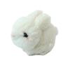 Cute Stuffed Animal - Baby Rabbit - White F0244