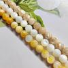Natural Yellow Dish Shell Beads - Horse Hoof & Pearl Shell Beads for DIY Jewelry & Handmade Accessories
