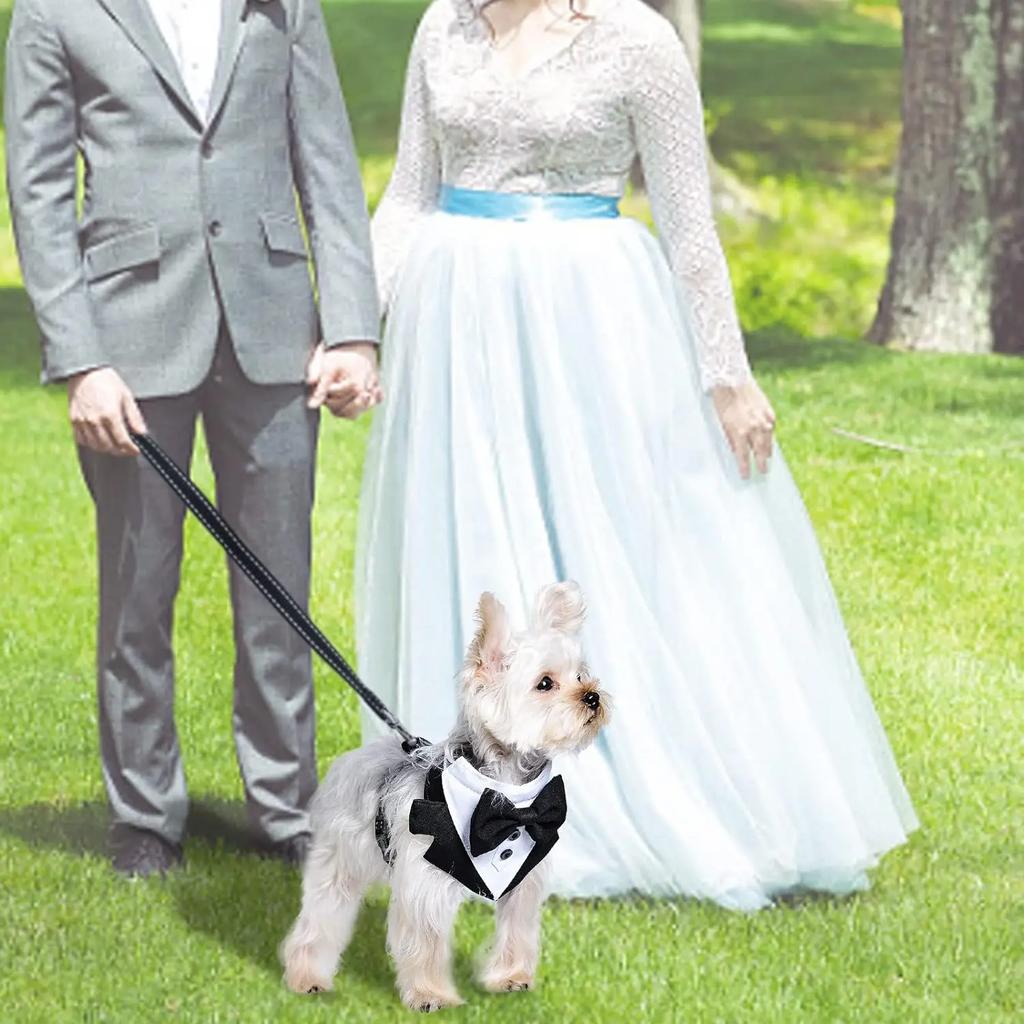 Gentleman Smoking Dog Harness Pet Birthday Wedding Outfit Formal Costume Mesh Vest with Bowtie for Small Medium Dogs