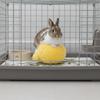 Fluffy Rabbit Calming Ball Bite Resistant Rabbit Soothing Toy Rabbit Fur Ball  Playing