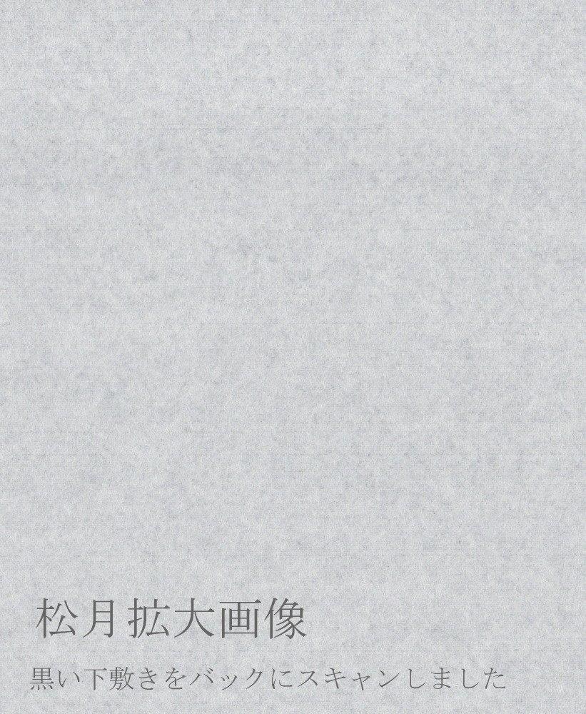 Kobaido Calligraphy Shogetsu x 20 Clear Ideal for JA Exhibition Calligraphy Works Paper, (35 136cm), Sheets, Heavyweight, Smudge-Resistant, Ink,