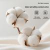 Unisex Mid-Calf Cotton Socks for Spring and Autumn - Casual and Versatile