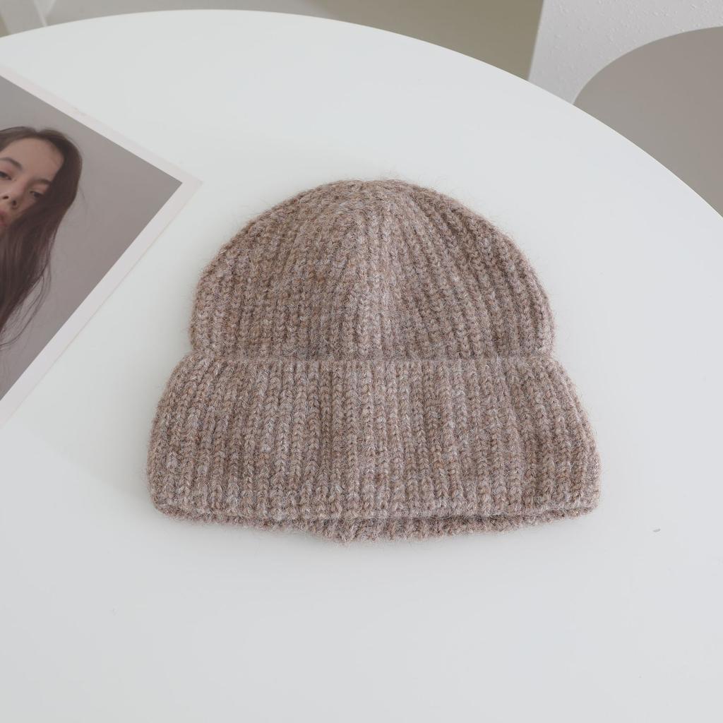 Metal Label Simple Knitted Hat for Women In Autumn and Winter New Warm and Thickened Cold Hat To Show Face and Protect Your Face
