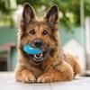 Squeaky Dog Toys For Aggressive Chewers, Indestructible Dog Balls For Aggressive Chewers, Squeaky Balls For Dogs,Interactive Dog Toys For Large Dogs