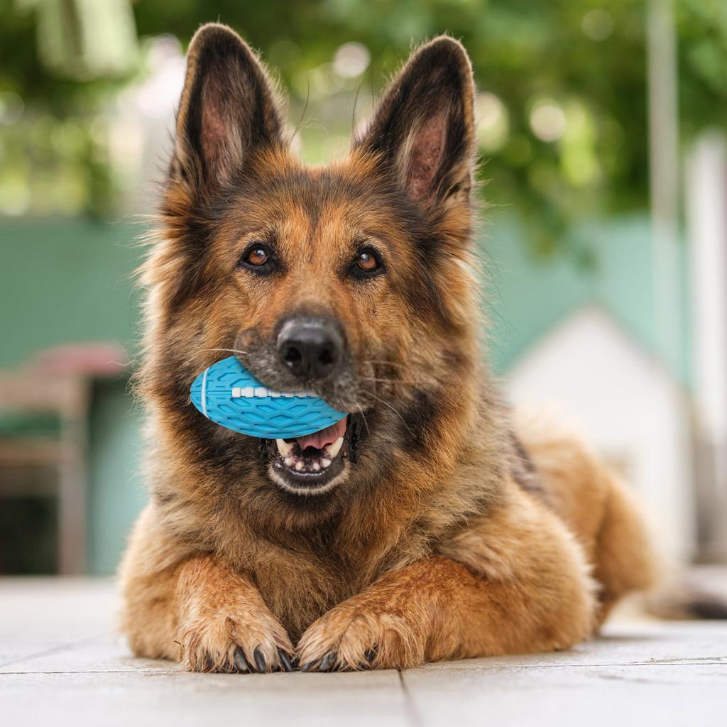 Squeaky Dog Toys For Aggressive Chewers, Indestructible Dog Balls For Aggressive Chewers, Squeaky Balls For Dogs,Interactive Dog Toys For Large Dogs