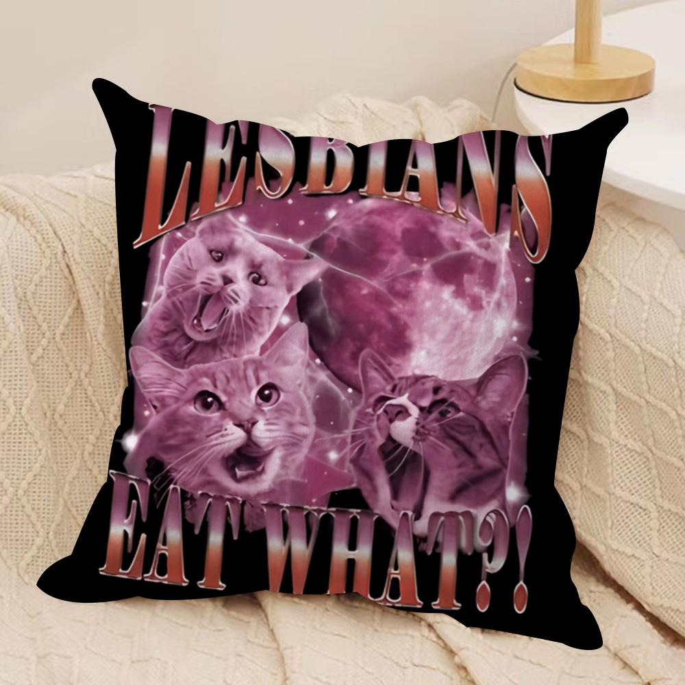 Funny Lgbtq eat what Cushion Cover Soft Plush Fabric DoubleSided Printed Cushion Covers for All Seasons Modern Home Decor