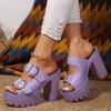 Summer Women High Heel Sandals Platform Fashion Simple Slippers Women Buckle with High Heels Open-toe Heeled Ladies Slides Shoes
