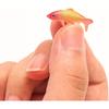 X Hot Popcorn 40Pcs Mini Koi Fish Mini Goldfish Figurines Miniature Koi Fish Tiny Fish Fairy Garden Supplies