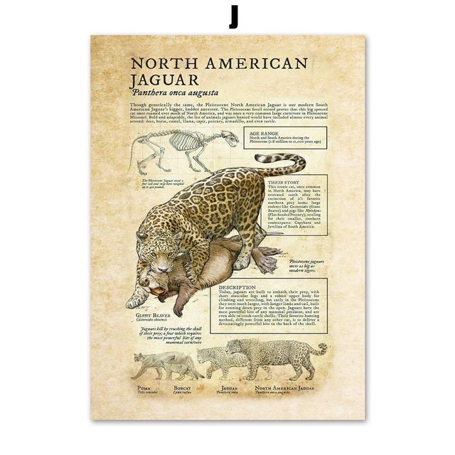 

Стародавні тварини Слон Кінь Пекло Свиня Настінне мистецтво Картини на полотні Північні плакати та принти Настінні картини для декору вітальні без рамки 30*40cm