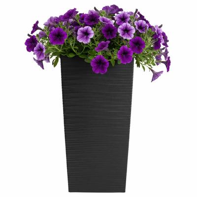 Ev Dekoru – Dekoratif saksılar