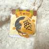 [USED] NCT DREAM Jisung Taiyaki Keyring
