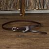 Trendy And Versatile Women'S Thin Belt, Genuine Leather Fashion Decorative Belt With Dress, Top, Waist Pure Cowhide