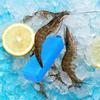 Ice Pack For Cooler Reusable Cooling Packs Long-lasting Ice Crystal Box Outdoor Fresh-keeping Ice Packs For Beach Fishing
