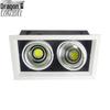 12w double-head white light (lx pd-sd158)