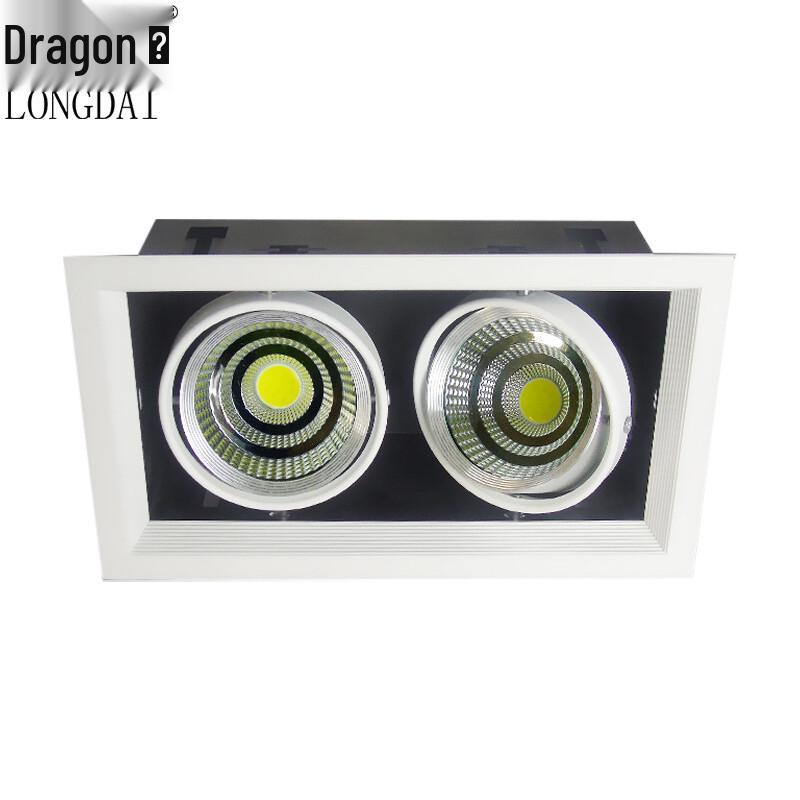 Longdai LED Double-Head Recessed Grille Spotlight
