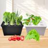 Hydroponic Grow Box 6-Hole Planting System Home Herb Planter Vegetable Cultivation Kit for Indoor Gardening
