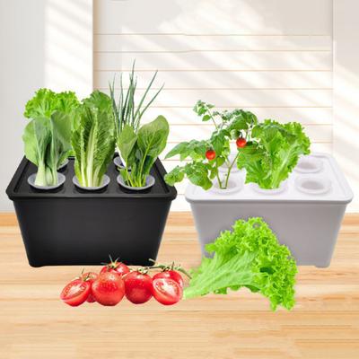 Hydroponic Grow Box 6-Hole Planting System Home Herb Planter Vegetable Cultivation Kit for Indoor Gardening