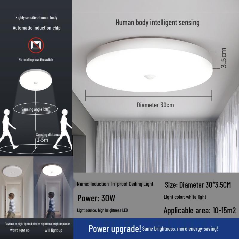 Smart Infrared Radar Sensor Ceiling Light for Stairways, Hallways, and Corridors with Voice Control