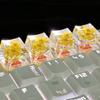 Translucent Dried Flower Keycaps OEM R4 Resin Keycap Mechanical Keyboard Keycap  Desktop Computer